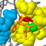 Chymotrypsin active site 1aqf