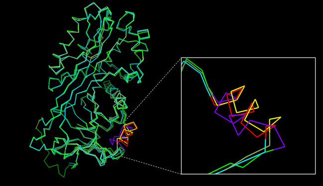 Fig. 1 - Alignment and comparisons of maspin structures. A structural superposition of the 2.1 Å (PDB code 1wz9), a 2.8 Å (PDB code 1xu8) and a closed (PDB code 1xqg) maspin structures. Heterogeneity in and around the G-helix is shown in more details where G-helix from 2.1 Å structure is highlighted in red, 2.8 Å structure in yellow and closed maspin structure in purple (INSPIRED BY doi: http://dx.doi.org/10.1074/jbc.M412043200).