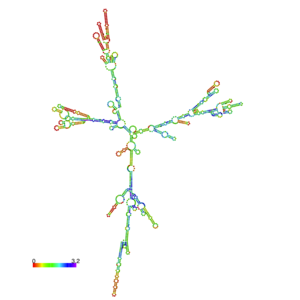 mRNA structure of LuxO. This model is using the minimum free energy model. Different colors refer to different free energy levels. 3cfy