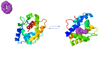 The A and B forms with ligand (PDB IDs: 1gm0 and 1ls8).
