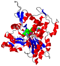 Crystal Structure of F-actin, 2zwh