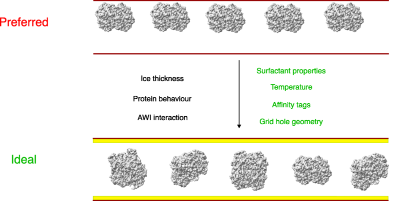 Image:Figure3RR5238.png