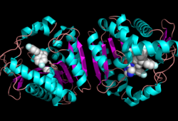Ligand within the Overall Structure of MGL