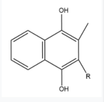Figure 5. Vitamin K Hydroquinone structure
