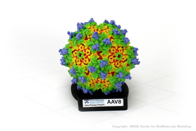 Image:AdenoAssociatedVirus 1 centerForBiomolecularModeling.jpg