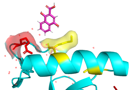 Figure 3: Lysine(yellow) and Arginine(red) residues on 3PFS surface interacting with DNA backbone generated in PyMOL using PDB: 3PFS