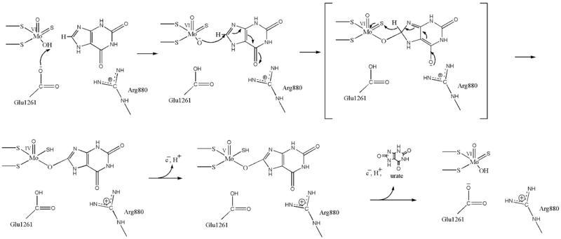 Image:Xanthine Mechanism.png