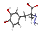 Ball and Stick Model of Carbidopa