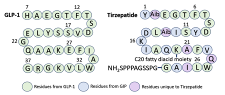 Sequence alignment of GLP-1 and Tirzepatide.