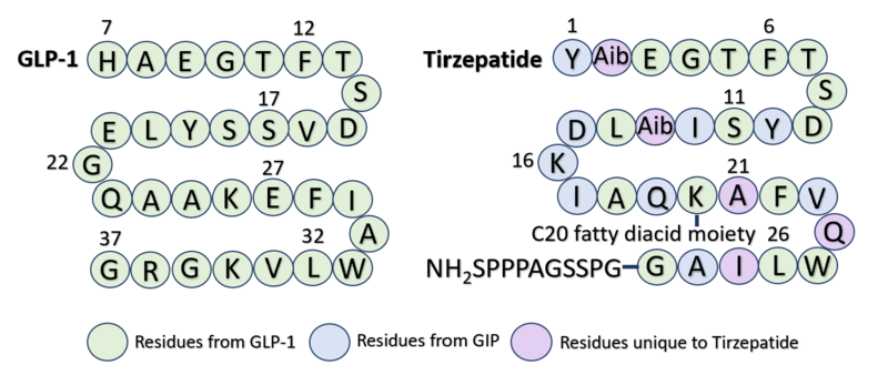 Image:Sequence Alignment Condensed3.png