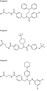 Figure 4: Three small molecule antagonists reported in 2007..