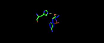 Representative image of catalytic domain binding of tRNA. The image includes residue His309 binding to tRNA 3'adenine representing acid-base reaction with 2'OH.