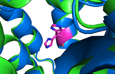 Figure 6. Conformational Change: 6vp0 is in green, 6vyi is in blue. This displays the conformational change that occurs with the slight bending of the tunnel shown from one conformation to another as sticks.