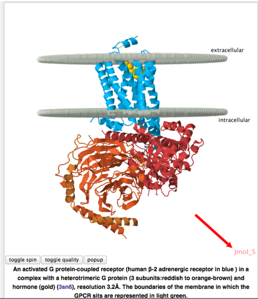 Image:Making image of GPCR page with Jmol S shown.png