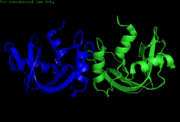 3F8G-Domain swapped dimer of human pancreatic Ribonuclease I.  Structure determined by X-Ray crystallography