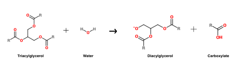 Image:Hydrolysis triacylglycerol reaction.png