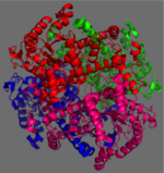 Figure 2: C2 Symmetry of the homotetramer isocitrate lyase