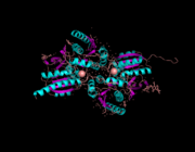 Structure of amino terminal domain of the NMDA receptor subunit