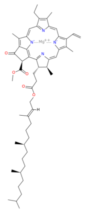 structure of chlorophyll a