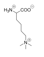 Figure 5: Tri-methylated lysine.