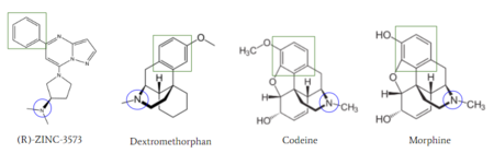 Figure 6: Structures of (R)-Zinc-3573, Dextromethorphan, Morphine, and Codeine. The blue circles indicate conserved basic N-dimethyl group and the green squares show the conserved benzene rings .