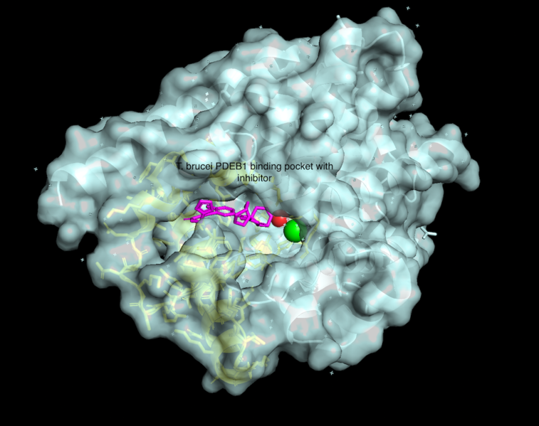 Image:TbPDEB1 with ligand.png