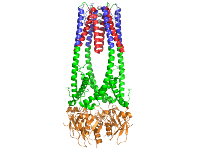 Coolest image of this protein!!!!