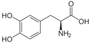 2D Structure of Levodopa