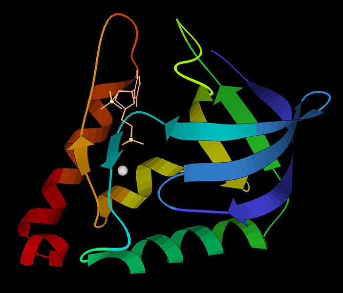 Image:Staph nuclease 3h6m ribbon.jpg