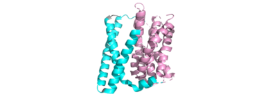 Figure 1. The coolest picture of this protein EVAH!!!