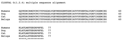 Figure 2: Clustal alignment of N-terminal sequences corresponding to residues 117-184 of human SET7/9