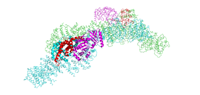 Figure 1. The coolest image of this protein EVAH!!!