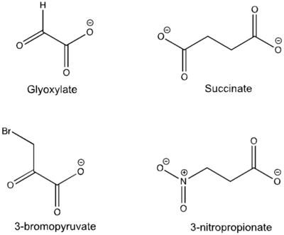 Figure 5: Substrate inhibitors of Isocitrate Lyase