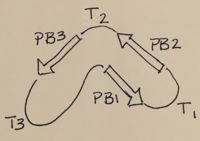 Nomenclature for structural elements of the parallel beta helix.  PB1 is Parallel Beta Sheet 1, T1 is Turn 1, between PB1 and PB2., PB3