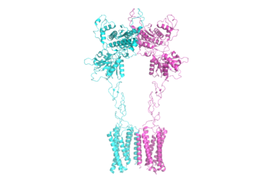 Figure 1. The coolest image of this protein EVAH!!!