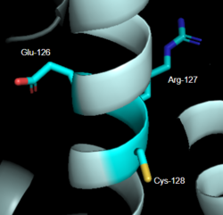 Figure 2: DRY Motif of MRGPRX2 7S8L 