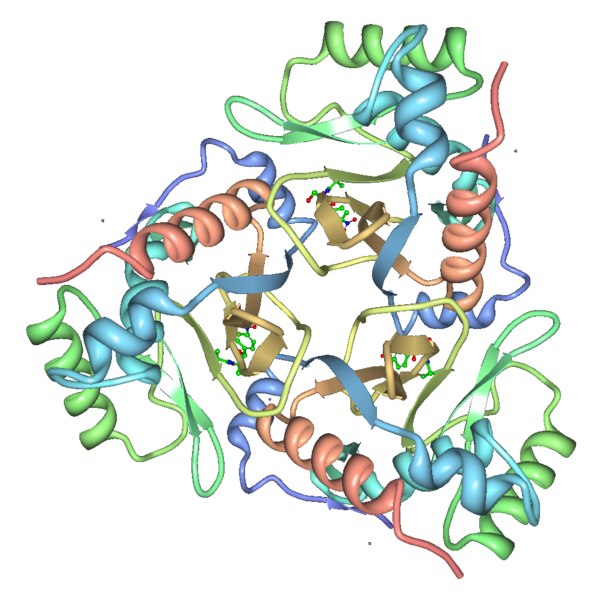 Image:Chloramphenicol acetyltransferase 3CLA transparent.png