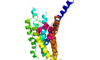Fig. 7: Active site buried deep in 7TMD of glucagon receptor.