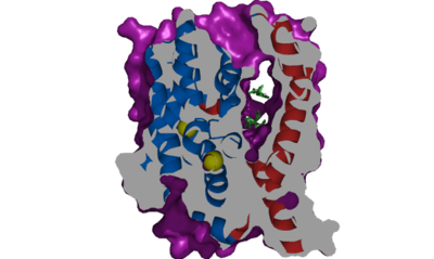 Figure.1 The coolest image of this protein EVAH!!
