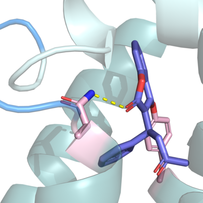 Figure 1. The coolest image of this protein EVAH!!
