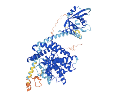 AlphaFold predicted structure of TbPDE1 protein