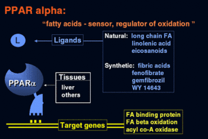 Figure 3: Ligands and target genes of Human PPARα