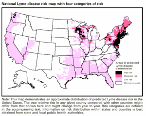 Figure 4: Illustrated Prevalence of Lyme Disease in the United States (Generated by the CDC).[[2]]