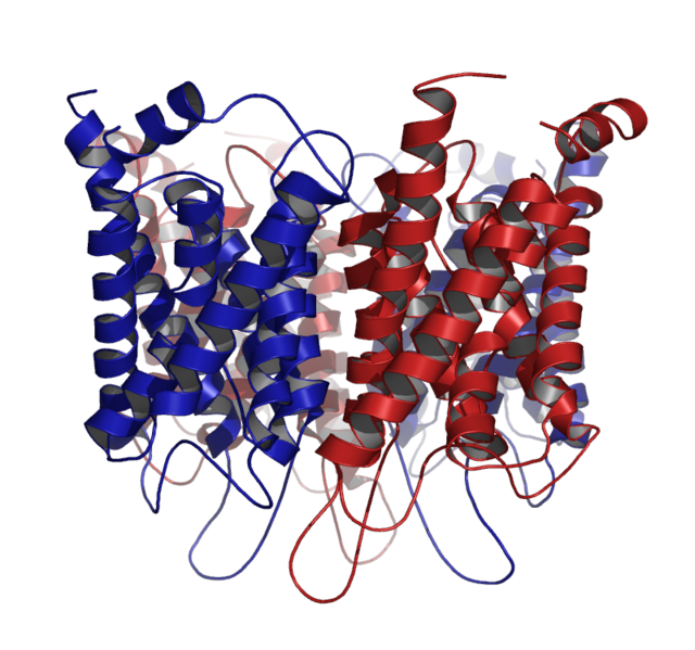 Image:Aquaporin-Sideview.png