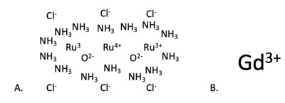 Figure 3: Competitive inhibitors Ruthenium Red (A) and Gadolinum (B)