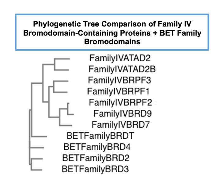 Image:FamilyTrees.png