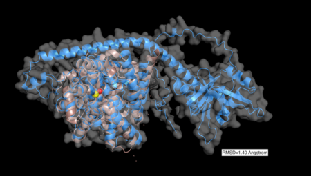 Pymol alignment (RMSD=1.40 angstrom) of 4I15 and AlphaFold predicted structure