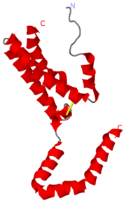 Figure 1. IL-10 N-Terminus of helix A