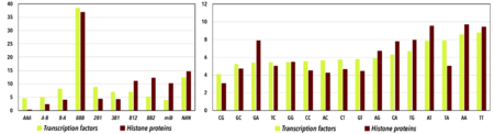 Percentages of of the CANA alphabet letters and dinucleotide sequences in transcription factors and histone proteins.