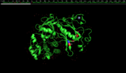 Mutations in PH domain. Notice the residue Y40. PD BID: 4y93